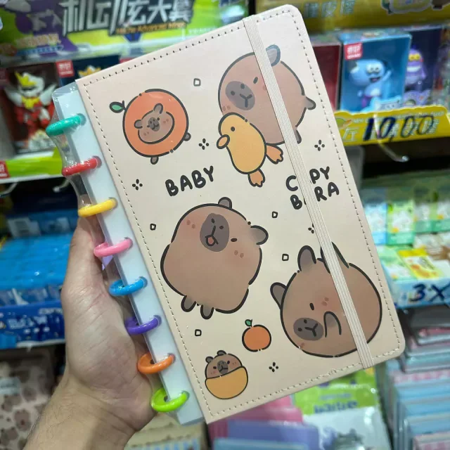 Kit C/6 Cadernos de disco Capivara Tamanho A5 Atacado